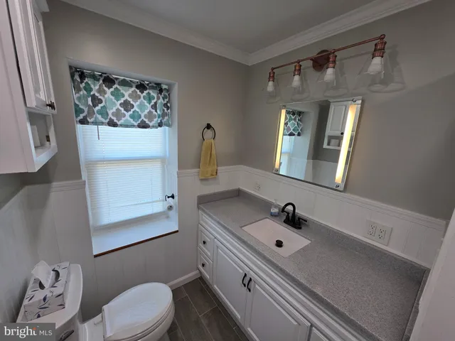 a bathroom with a sink a toilet and mirror