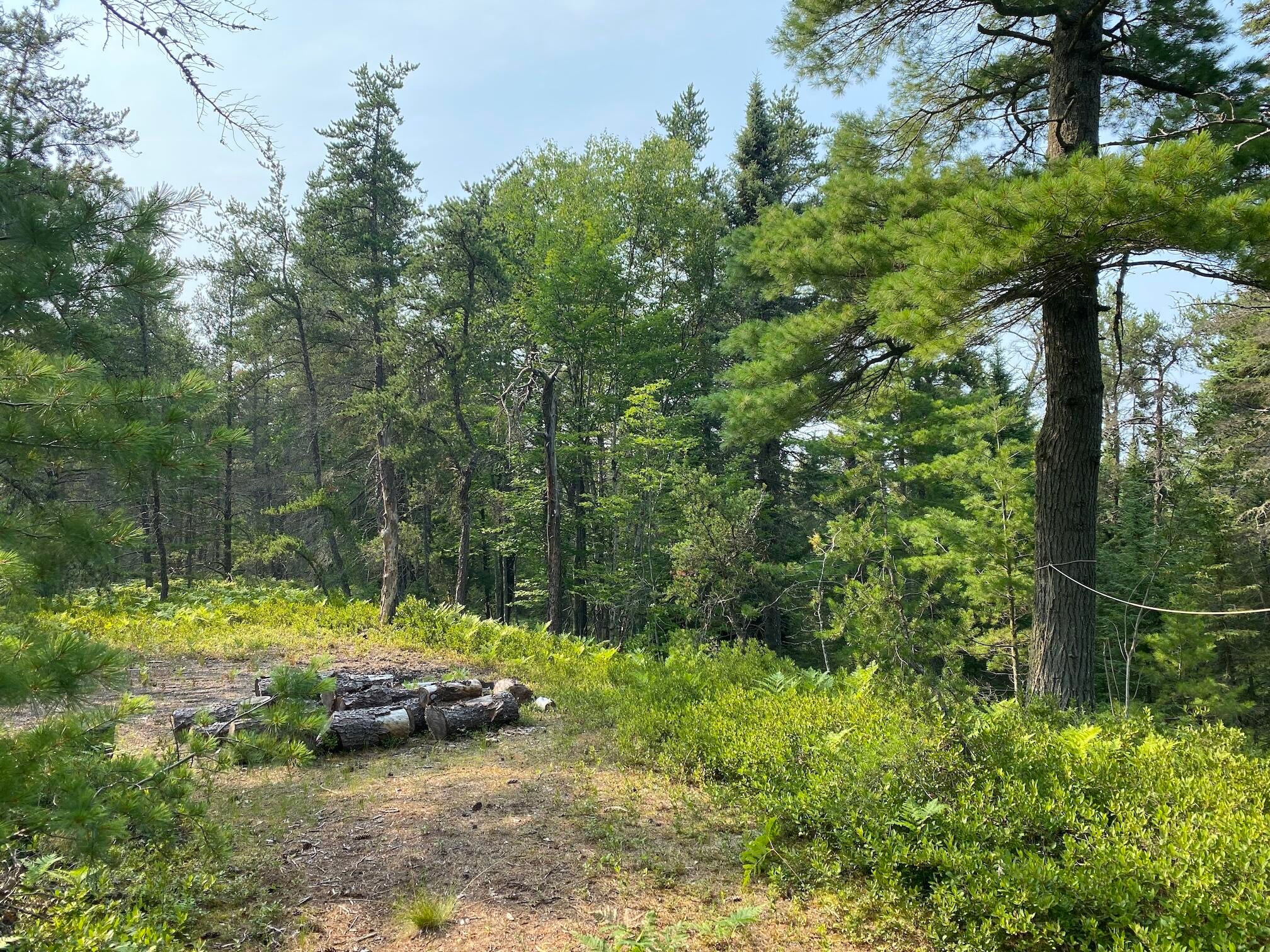 30124 West Cemetery Road Paradise, MI 49768 - Photo 12 of 14 Gallery Image 12