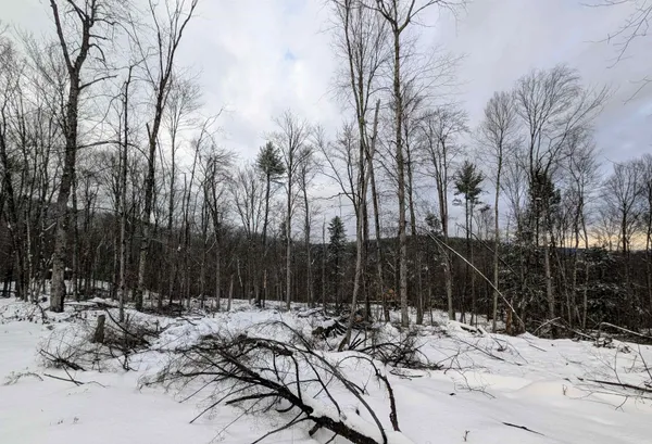 $67,500 | 0 Dover Road, South Newfane, VT 05351