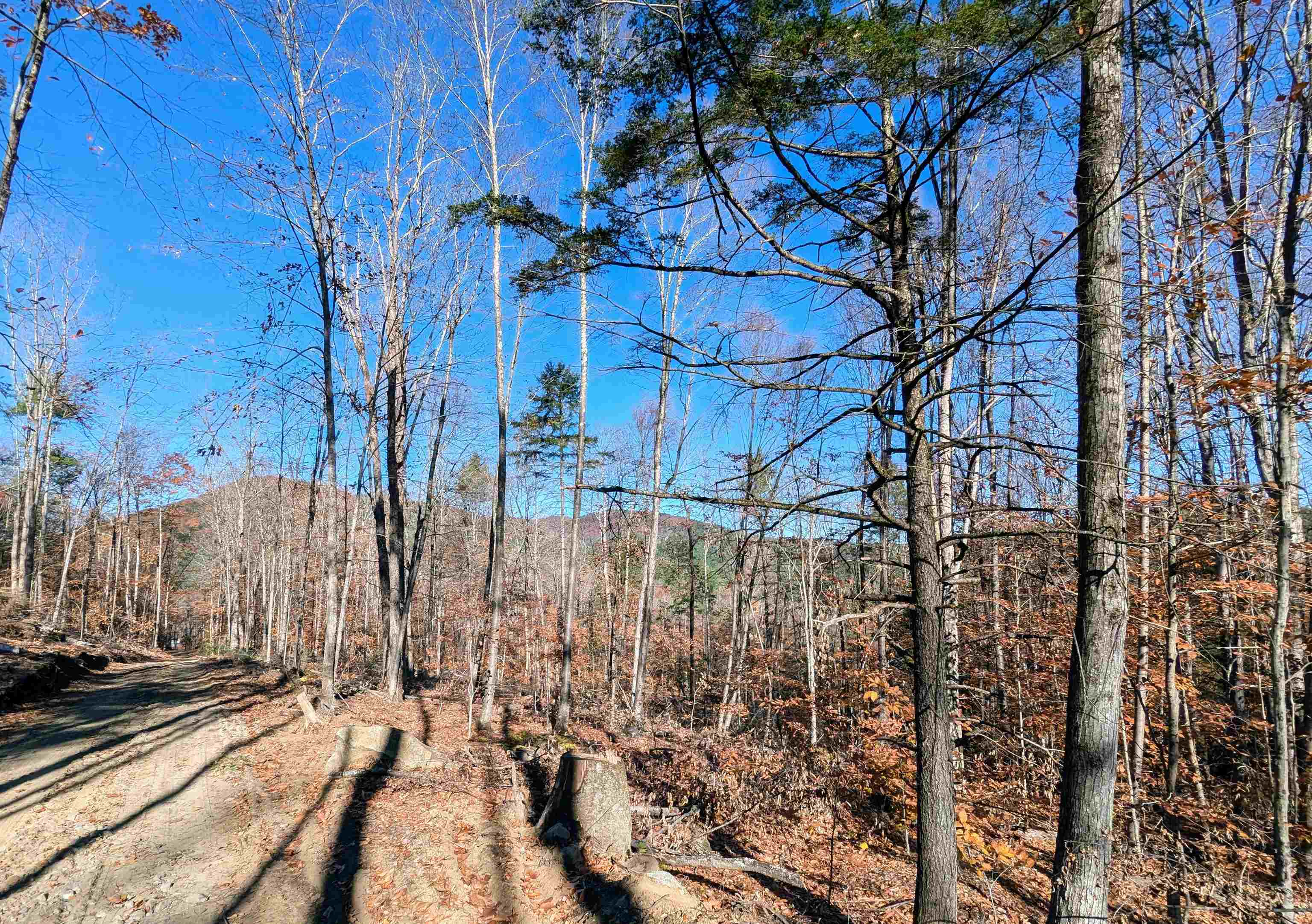 0 Dover Road South Newfane, VT 05351 - Photo 11 of 15