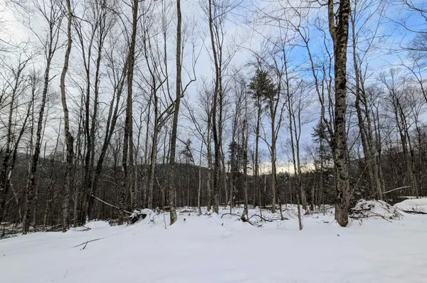 $67,500 | 0 Dover Road, South Newfane, VT 05351