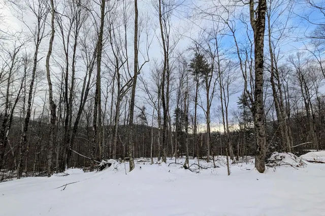$67,500 | 0 Dover Road, South Newfane, VT 05351