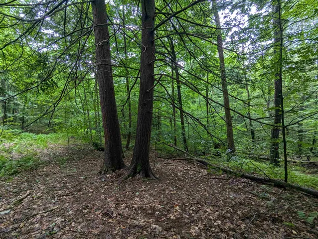 $67,500 | 0 Dover Road, South Newfane, VT 05351