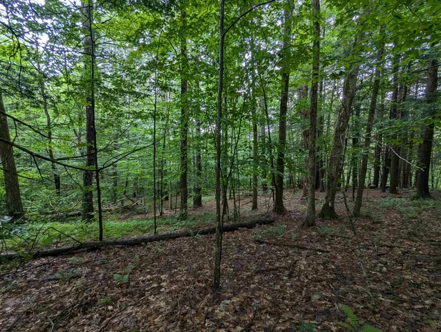 $67,500 | 0 Dover Road, South Newfane, VT 05351