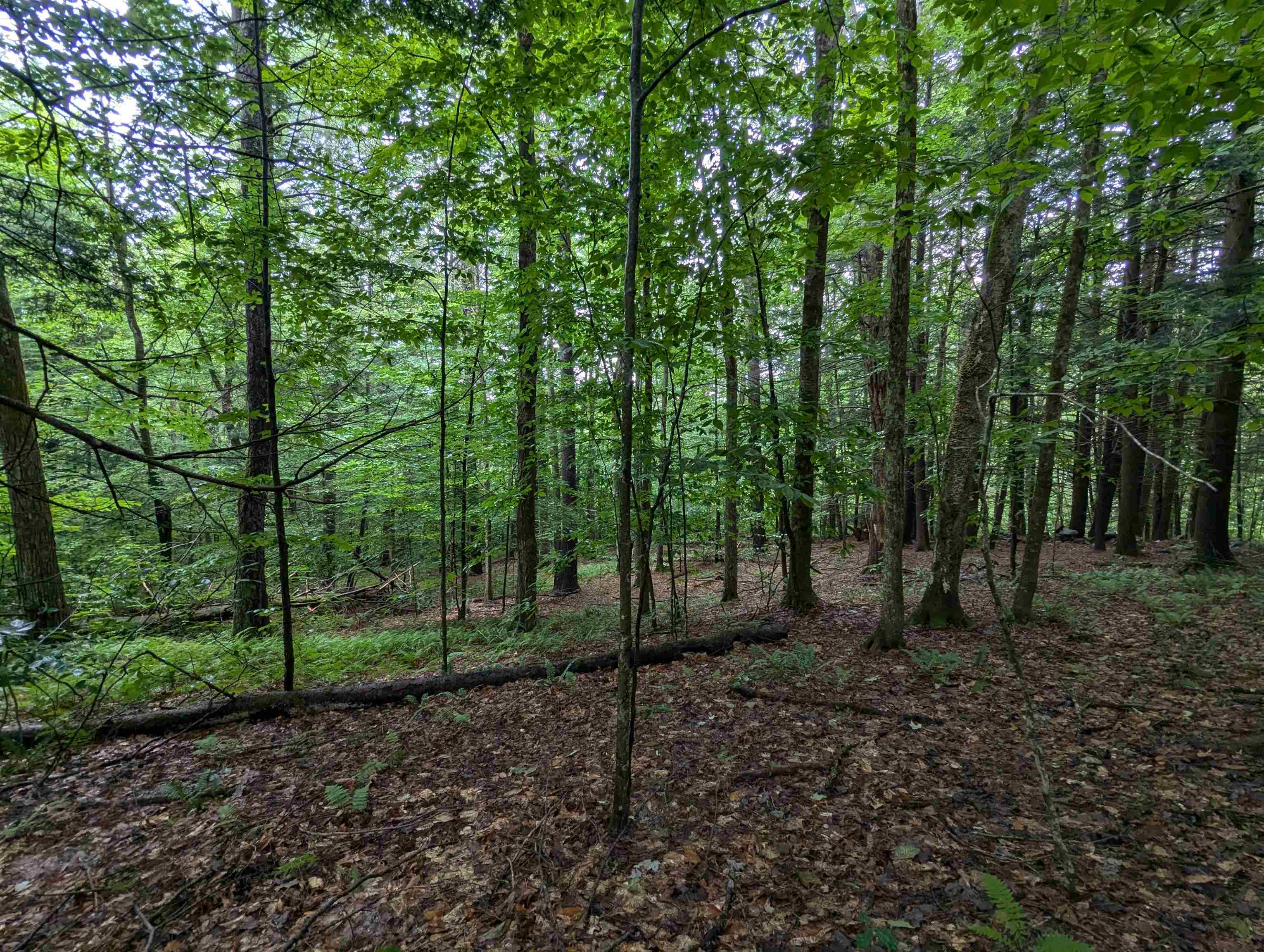 0 Dover Road South Newfane, VT 05351 - Photo 6 of 15