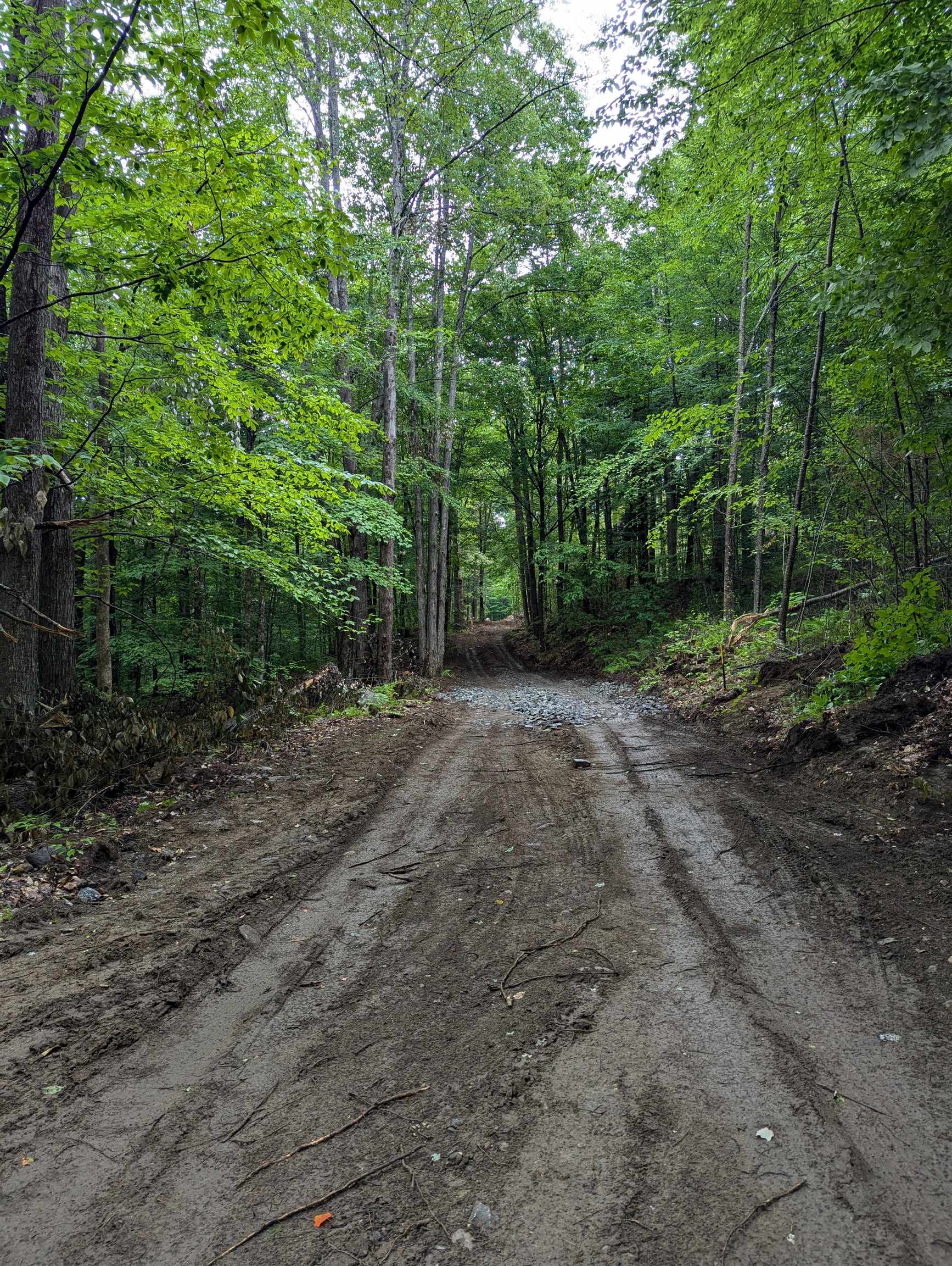 0 Dover Road South Newfane, VT 05351 - Photo 8 of 15