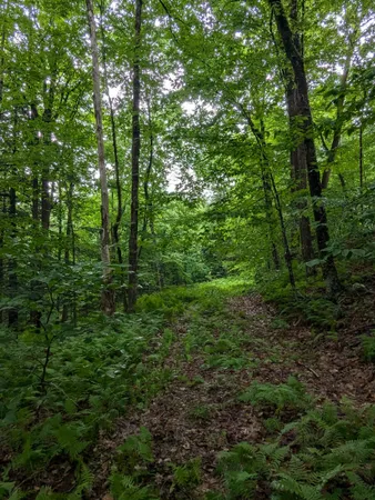 $67,500 | 0 Dover Road, South Newfane, VT 05351