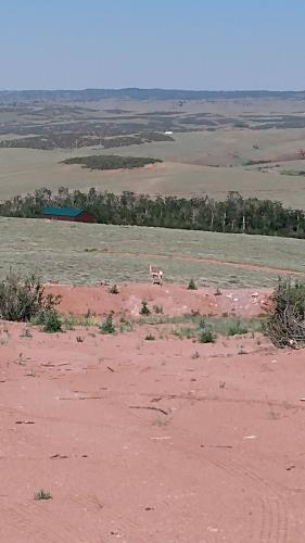 565 Buffalo Run Livermore, CO 80536 - Photo 13 of 20