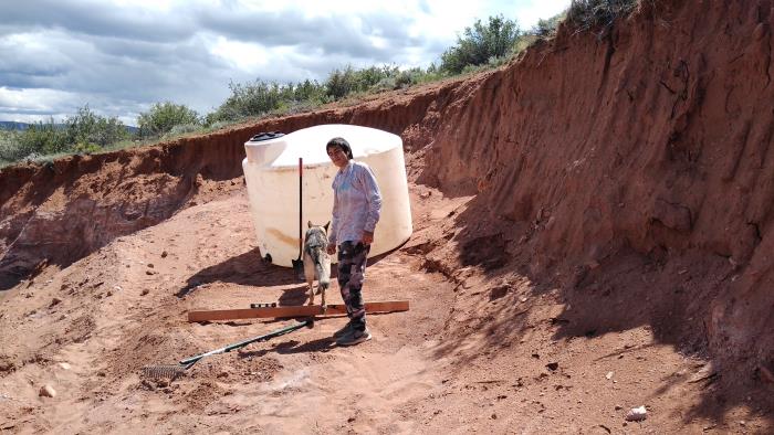 565 Buffalo Run Livermore, CO 80536 - Photo 17 of 20