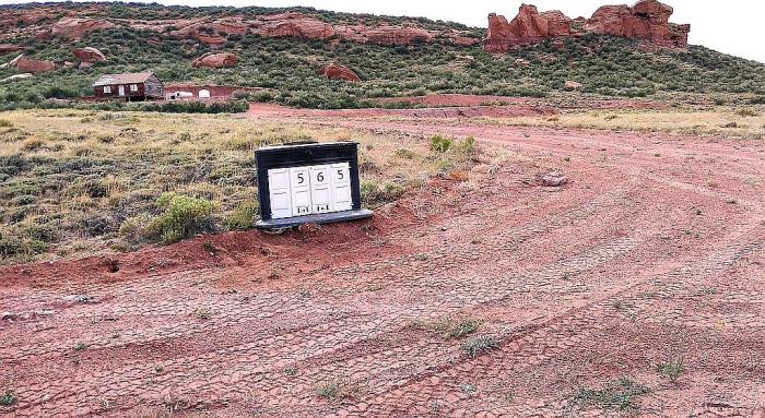 565 Buffalo Run Livermore, CO 80536 - Photo 3 of 20