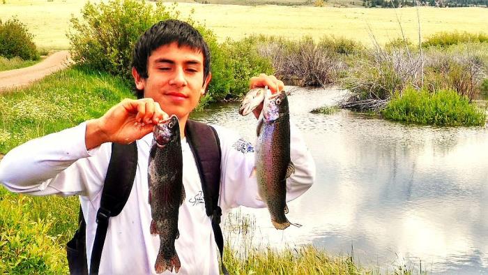 565 Buffalo Run Livermore, CO 80536 - Photo 4 of 20