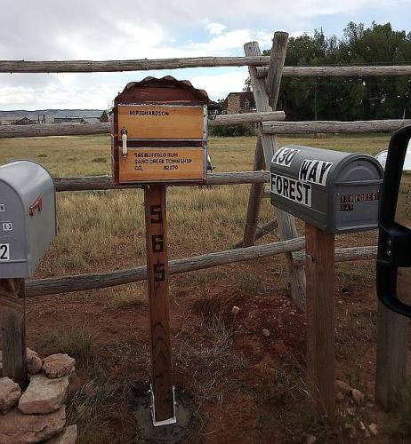 565 Buffalo Run Livermore, CO 80536 - Photo 8 of 20