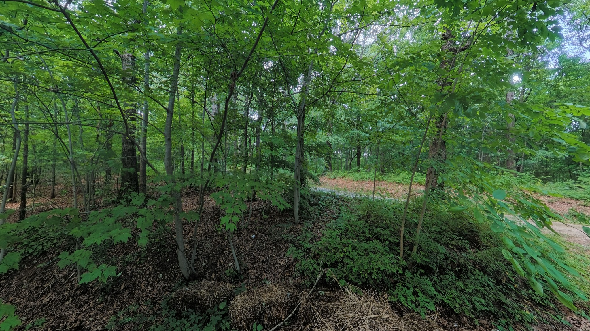 457 Pitcher Road South Morgantown, KY 42261 - Photo 4 of 22 Gallery Image 4