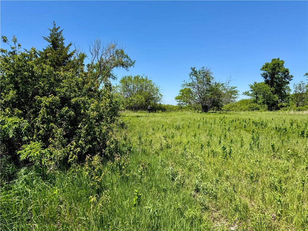 0 South Stanley Road Quenemo, KS 66528 - Photo 21 of 44