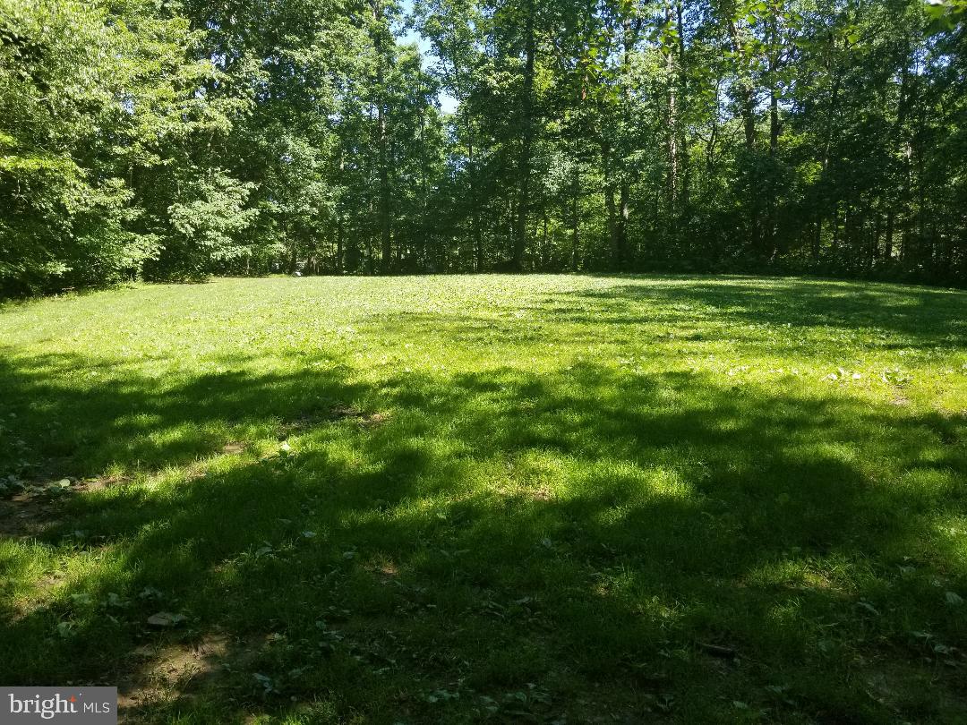 1603 Oak Spring Way Reston, VA 20190 - Photo 15 of 22 Gallery Image 15