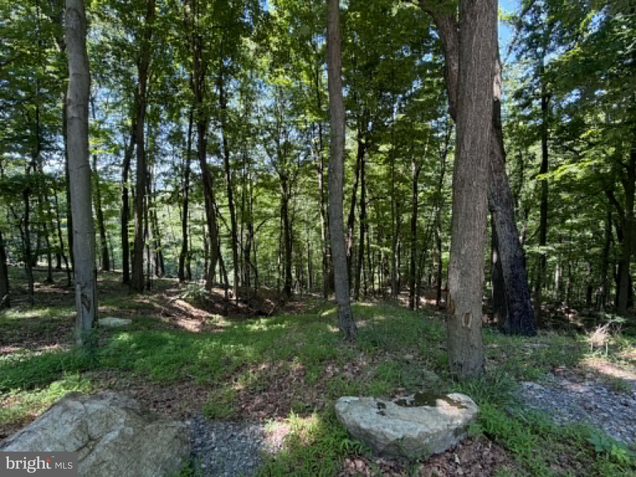 1515 Barnum Road Keyser, WV 26726 - Photo 32 of 64