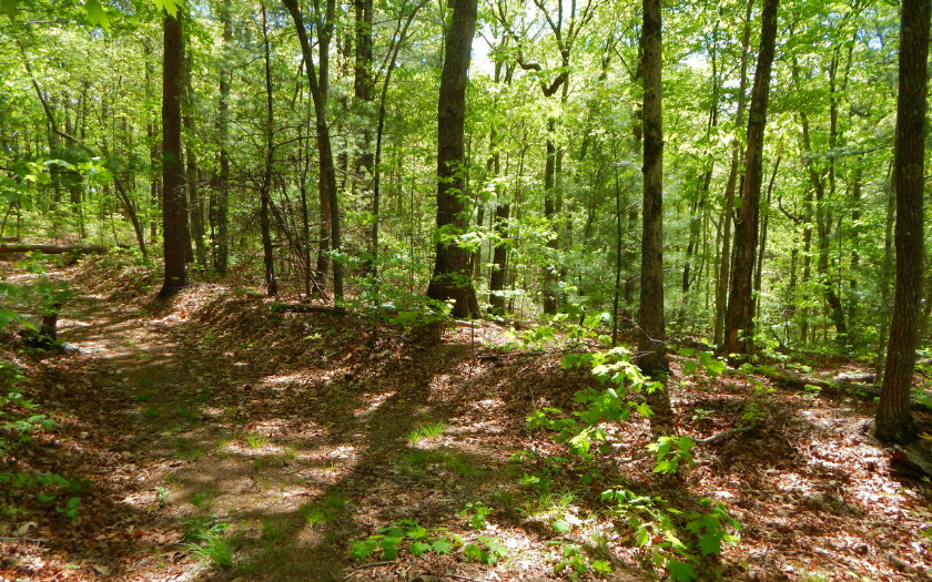19 A Felix Road Murphy, NC 28906 - Photo 1 of 1 Main View
