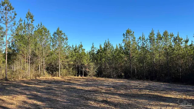 $105,000 | Lot 59 Straw Bridge Road, Jay, FL 32565