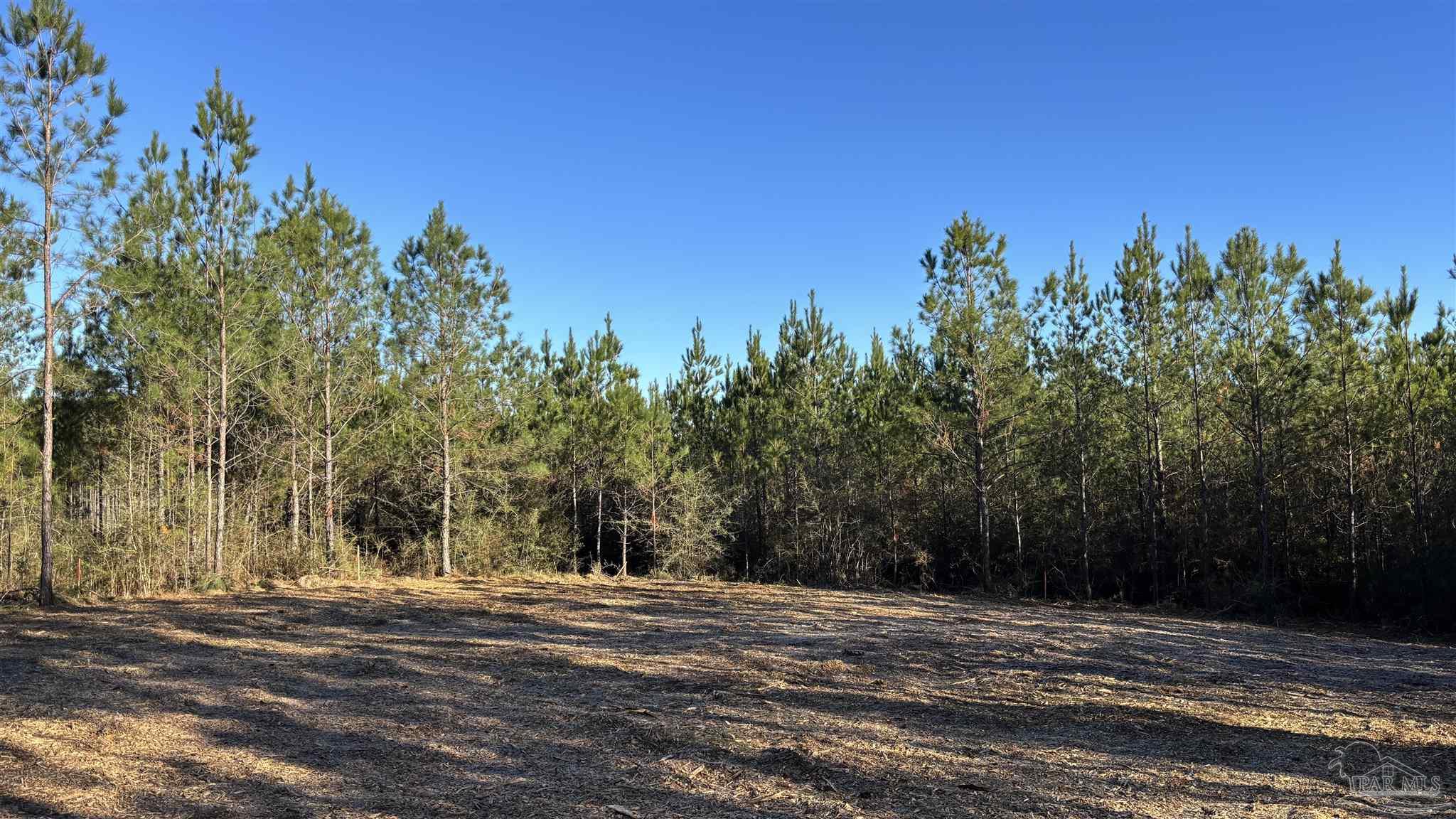 Lot 59 Straw Bridge Road Jay, FL 32565 - Photo 2 of 6