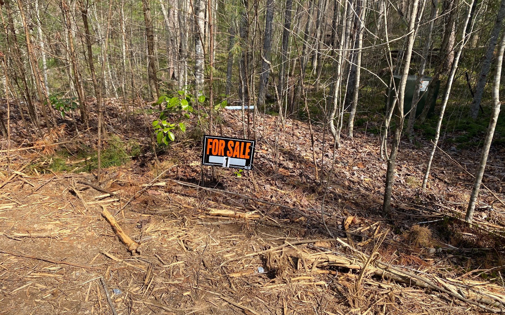 Lot1 Cohutta Overlook Drive Blue Ridge, GA 30513 - Photo 2 of 4 Additional View