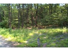 845 Black North Road Acworth, NH 03601 - Photo 2 of 2 Gallery Image 2