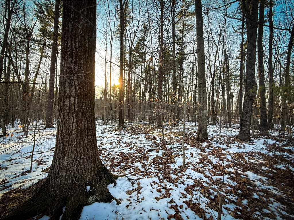 V/l-2 Lodi Center Road Lodi, NY 14860 - Photo 12 of 43