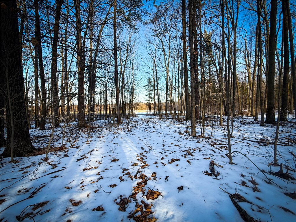 V/l-2 Lodi Center Road Lodi, NY 14860 - Photo 13 of 43