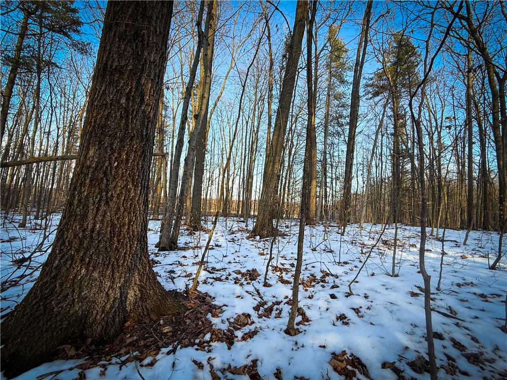 V/l-2 Lodi Center Road Lodi, NY 14860 - Photo 15 of 43