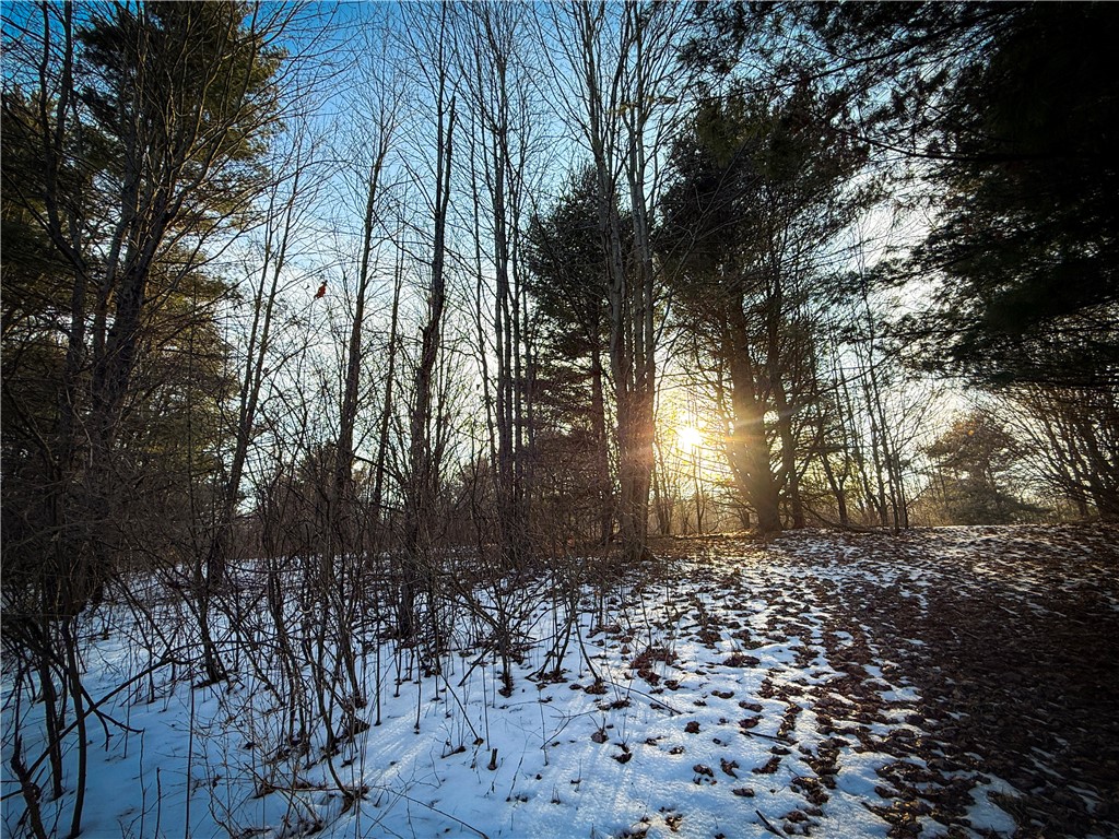 V/l-2 Lodi Center Road Lodi, NY 14860 - Photo 26 of 43