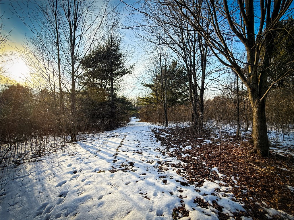 V/l-2 Lodi Center Road Lodi, NY 14860 - Photo 27 of 43