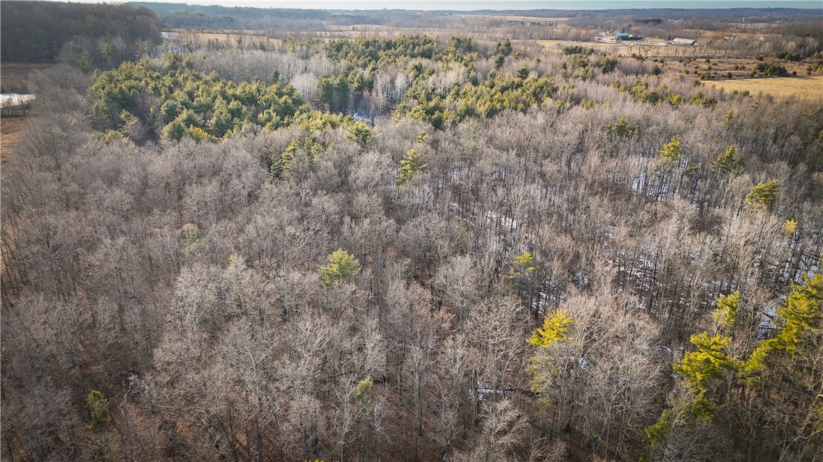 V/l-2 Lodi Center Road Lodi, NY 14860 - Photo 29 of 43