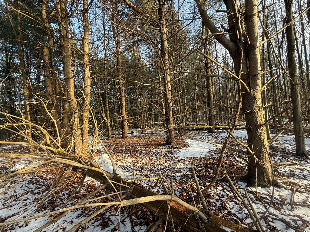 V/l-2 Lodi Center Road Lodi, NY 14860 - Photo 32 of 43