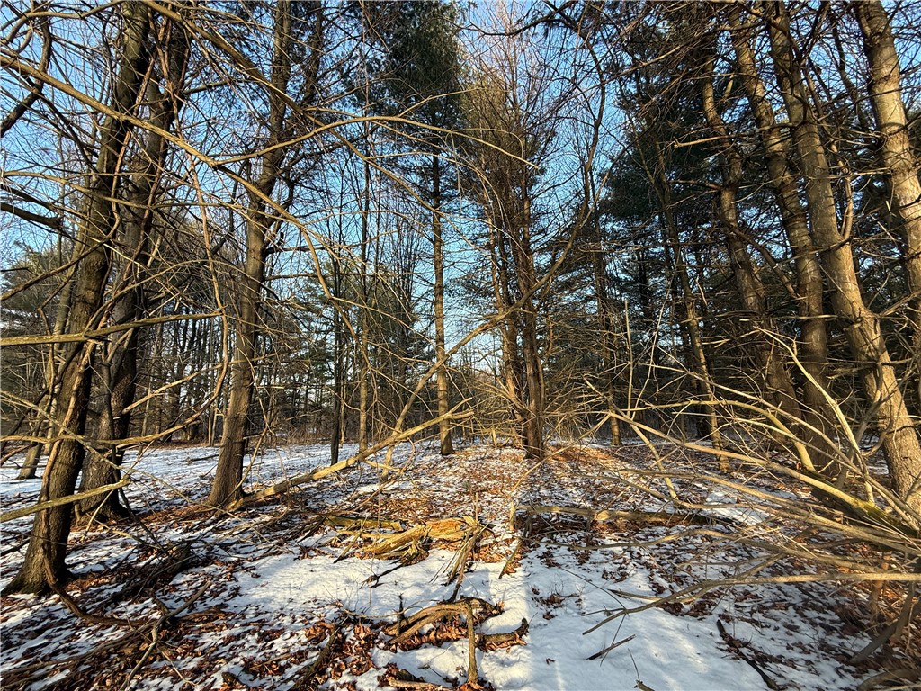 V/l-2 Lodi Center Road Lodi, NY 14860 - Photo 35 of 43