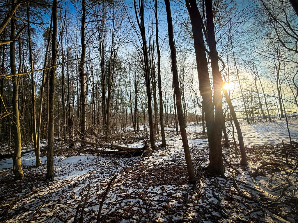 V/l-2 Lodi Center Road Lodi, NY 14860 - Photo 36 of 43