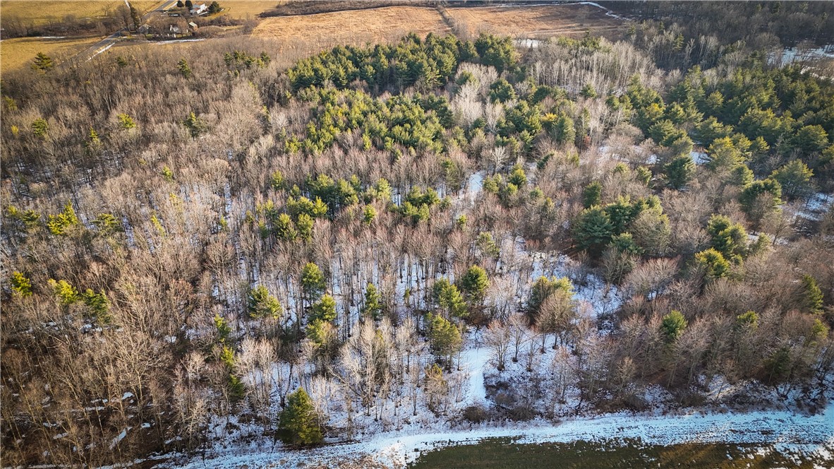 V/l-2 Lodi Center Road Lodi, NY 14860 - Photo 5 of 43