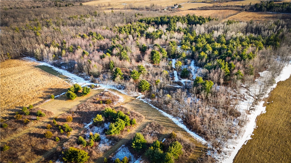 V/l-2 Lodi Center Road Lodi, NY 14860 - Photo 6 of 43