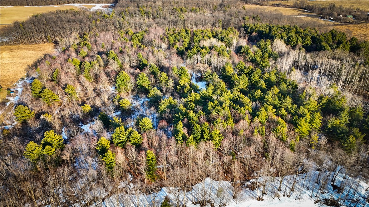 V/l-2 Lodi Center Road Lodi, NY 14860 - Photo 7 of 43