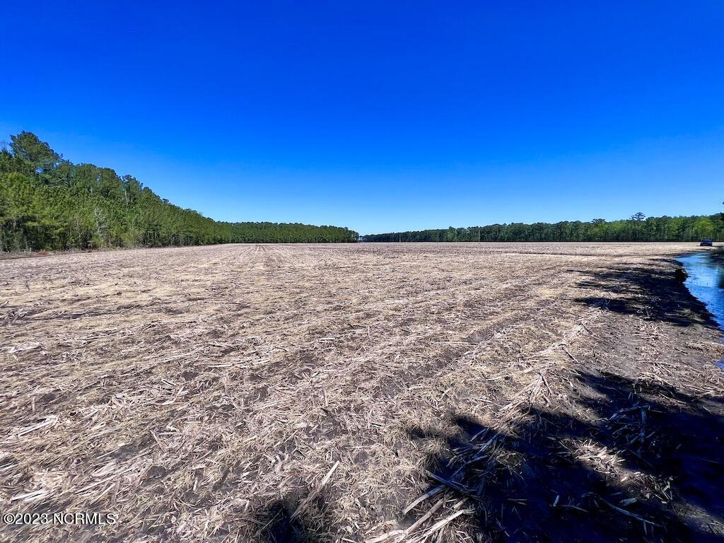 0 Arant Farm Road Merritt, NC 28556 - Photo 26 of 38 26