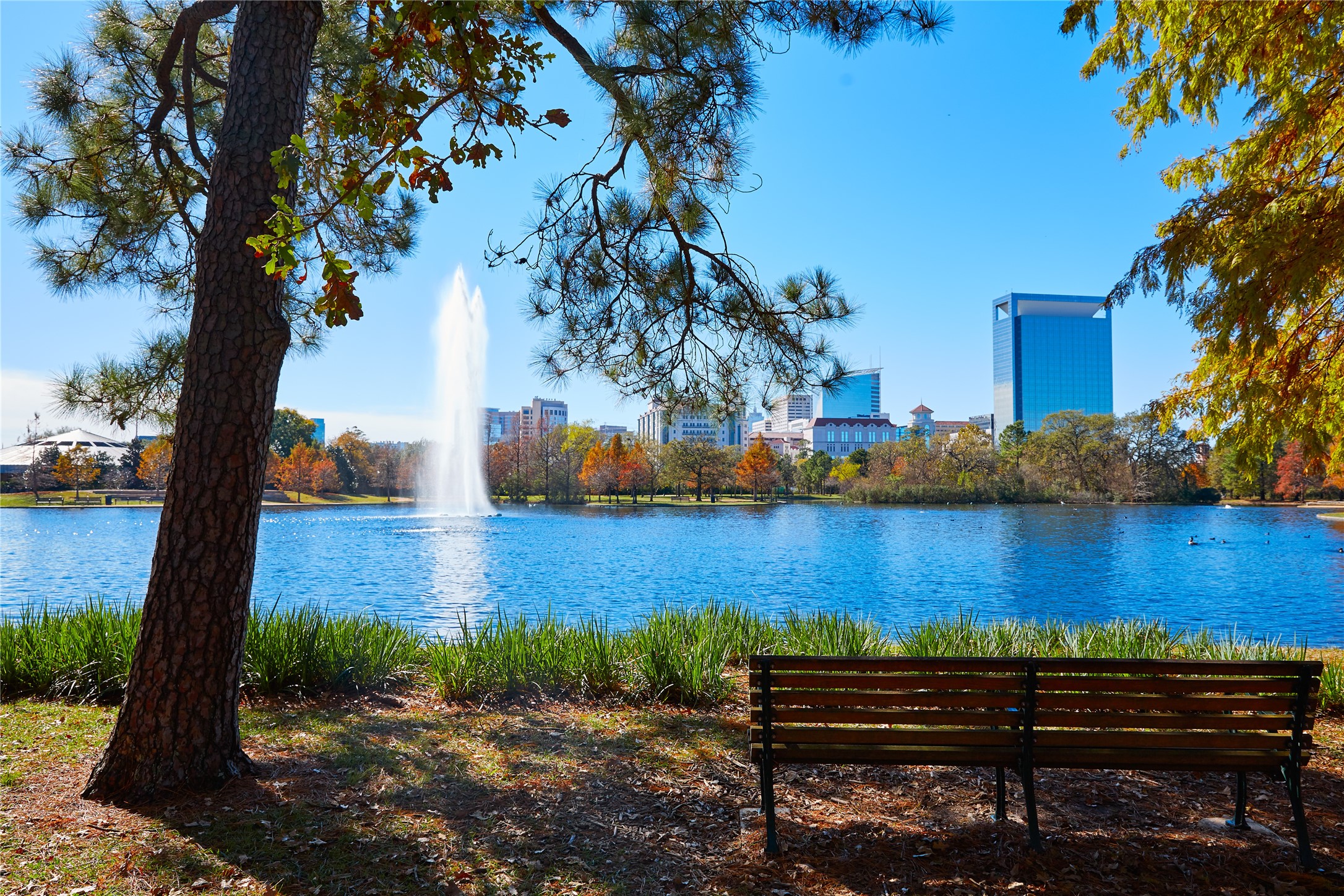 3514 Seabrook Street Houston, TX 77021 - Photo 13 of 13 a wooden bench sitting next to a lake view