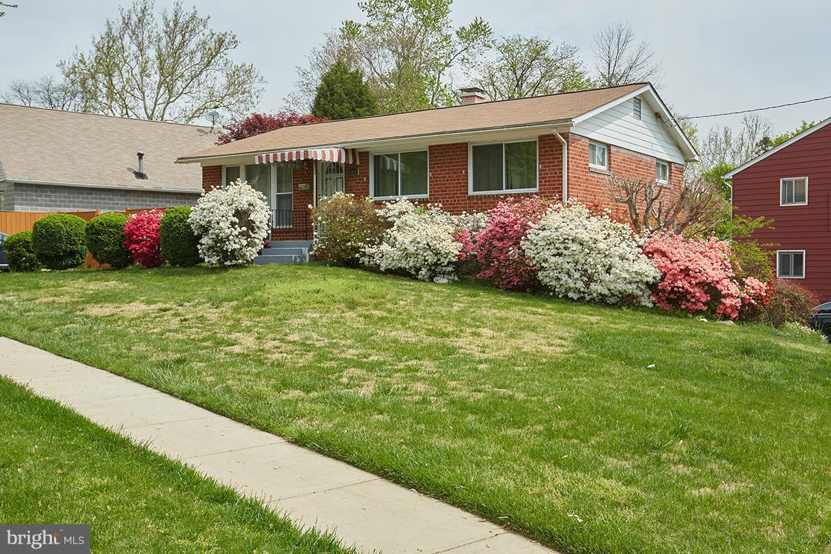 Spring View of Property