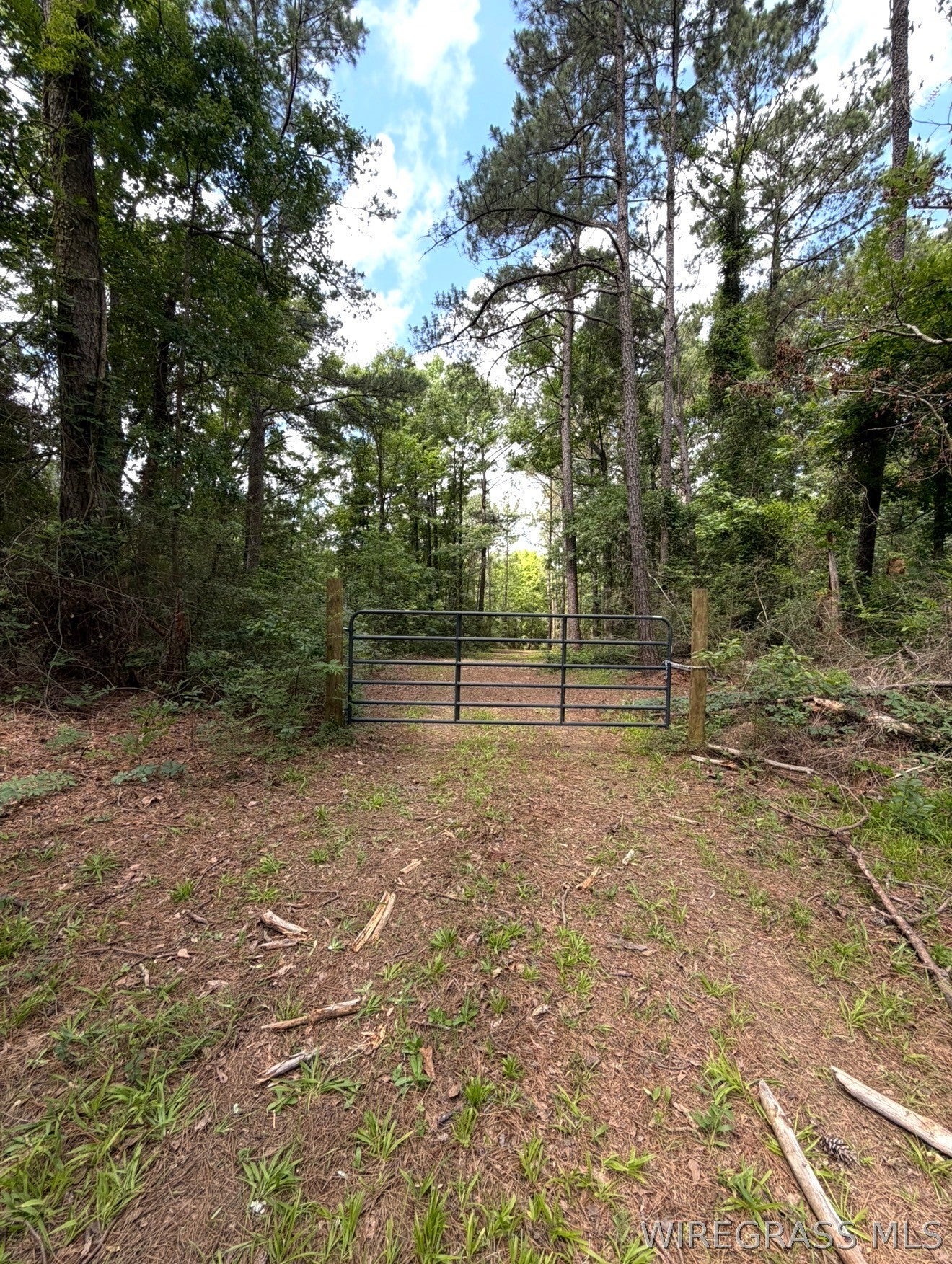 0 County Road 245 Road Elba, AL 36323 - Photo 23 of 27 Gallery Image 23