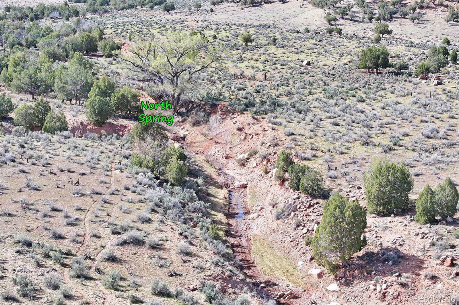 0 Tbd Gateway Paradox, CO 81429 - Photo 19 of 34 a view of a yard with a mountain