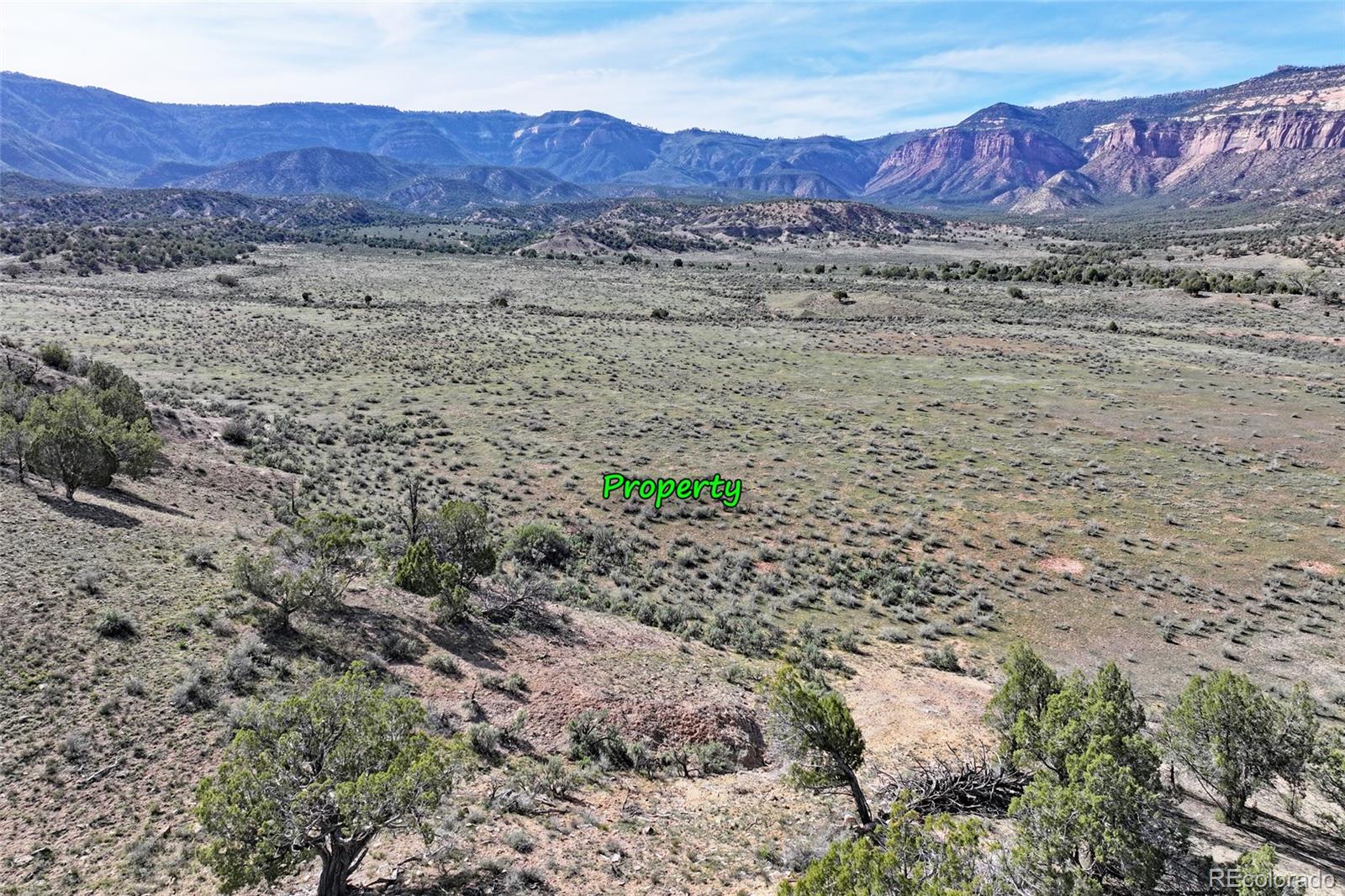 0 Tbd Gateway Paradox, CO 81429 - Photo 22 of 34 a view of a lush green field