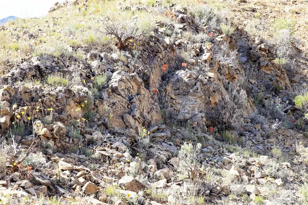 $1,200,000 | 0 Tbd Gateway, Paradox, CO 81429