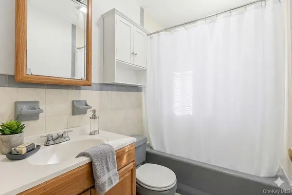a bathroom with a sink toilet and vanity