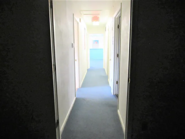 a view of a bird bath