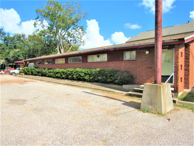 a view of a backyard with potted plants