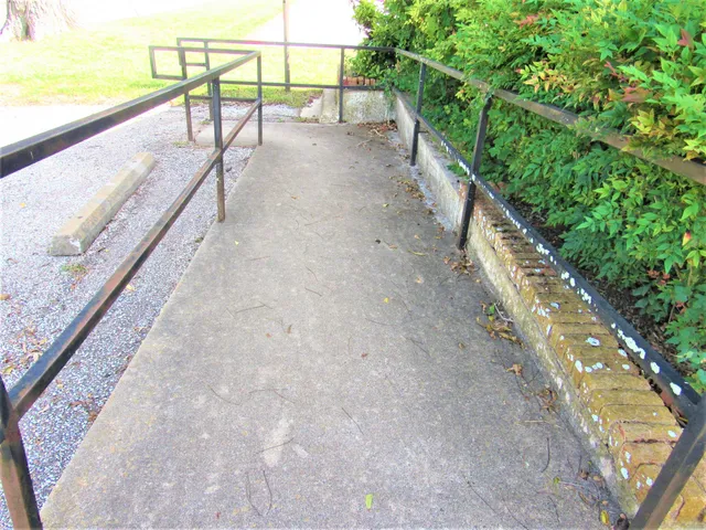 a potted plant sitting in front of a house with a yard