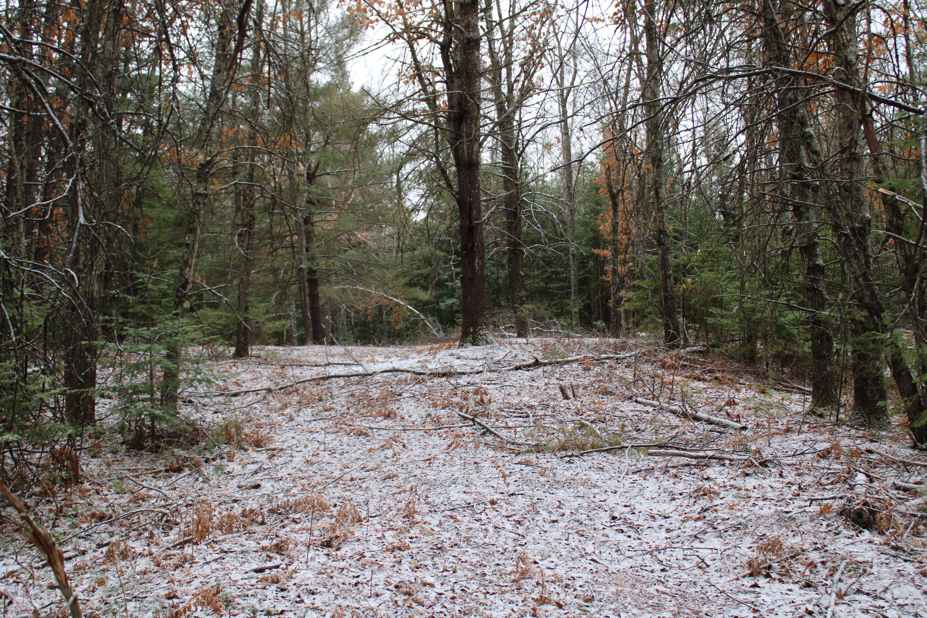 7601 East County Line Road South Branch, MI 48761 - Photo 1 of 1 IMG_4184