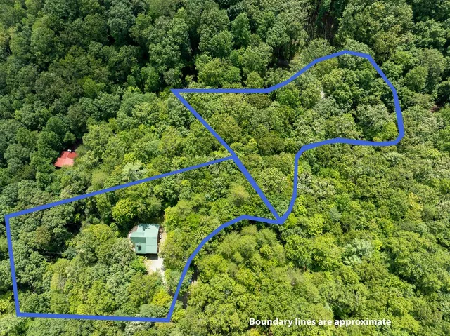 $739,000 | 476 Prince Mountain Road, Cherry Log, GA 30522